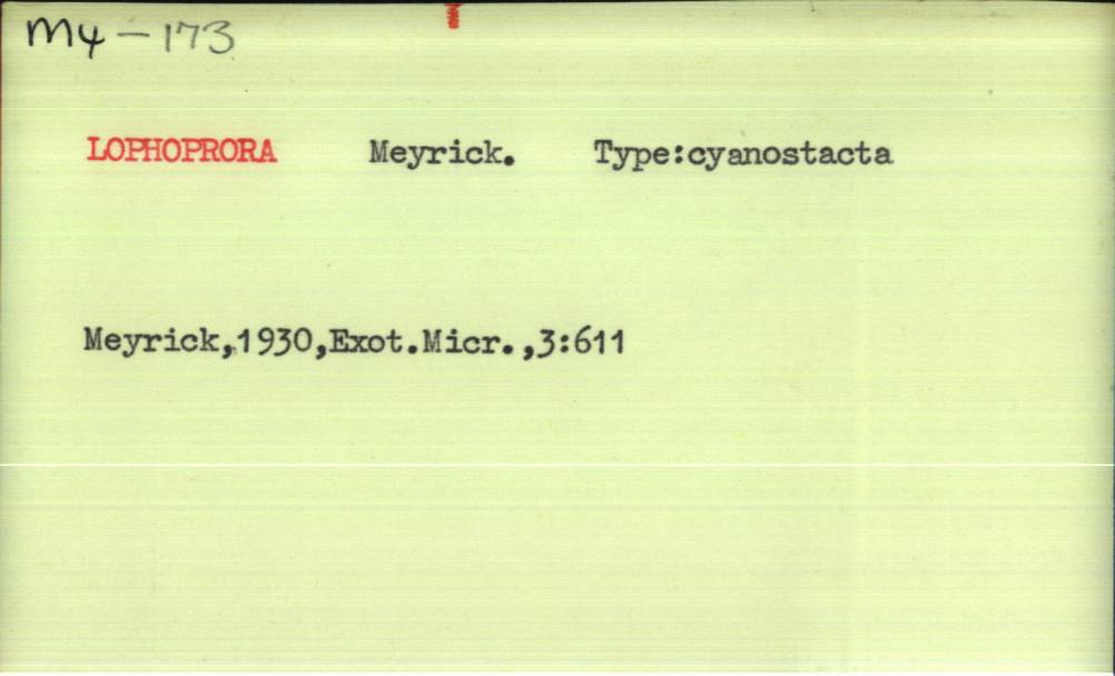 front of card